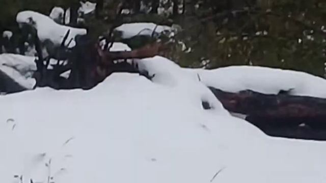 Перевал Горелый 2. Вахта. Заяц. смотреть онлайн