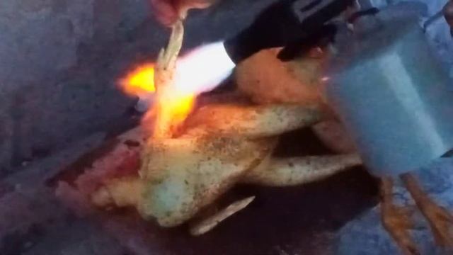 ОПАЛИВАНИЕ КУР ПАЯЛЬНОЙ ЛАМПОЙ. смотреть онлайн