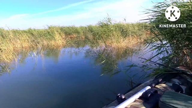 Утренний клëв -озеро Чаны. 10июля 2022 смотреть онлайн