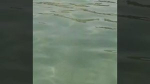 Море в Тунисе, Marhaba Palace 5*****, Сус, Тунис , 09/07/2019