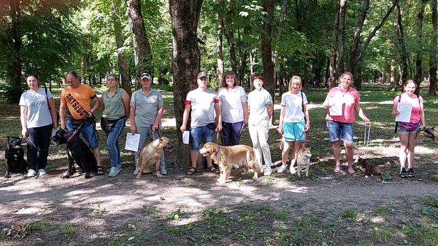 тест Т1 РКФ Артемида чихуахуа питомник Кастропуло Крым смотреть онлайн