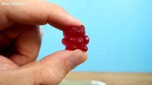 Что если бросить муравьям на сьедение Желейного мишку?