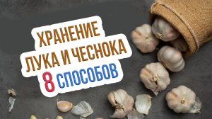Способы хранения лука и чеснока. Как сохранить урожай лука и чеснока в домашних условиях?