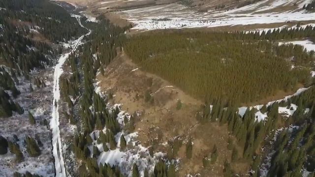 Дорога на Сары-Жаз смотреть онлайн