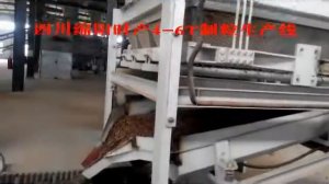 4-6T/H Wood Pellet Production Line in Mianyang City Sichuan Province