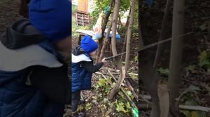 Собираю бензинопилу Carver Hobby HSG 152-18