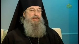 Беседы с батюшкой. 31 января 2021. Архимандрит Мелхиседек (Артюхин). Ответы на вопросы