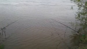Рыбалка на Селенге и не только 3