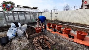 Посадка голубики в контейнеры. Как сделать все правильно #ТриЭкоСад