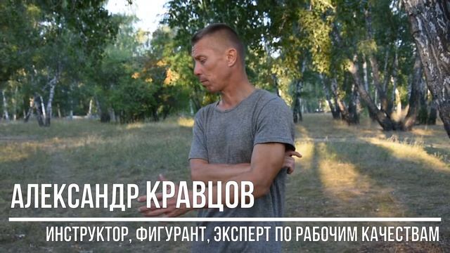 Выбор щенка по половому признаку. Кого купить - кобеля или суку? смотреть онлайн
