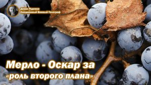 Мерло - Оскар за "роль второго плана"
