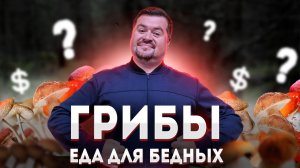 ГРИБЫ - еда для бедных. Но почему они так дорого стоят?