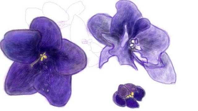 рисунок вк - фиалки (flowers - speed drawing) смотреть онлайн