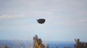 Самый сумасшедший НЛО видео смотреть сейчас! Лучшие кадры НЛО