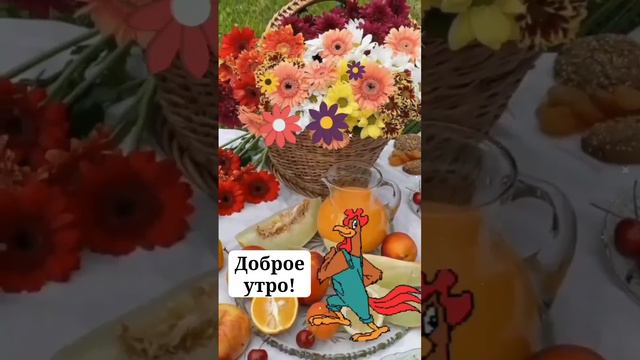 Доброе Осеннее Утро! ☀️