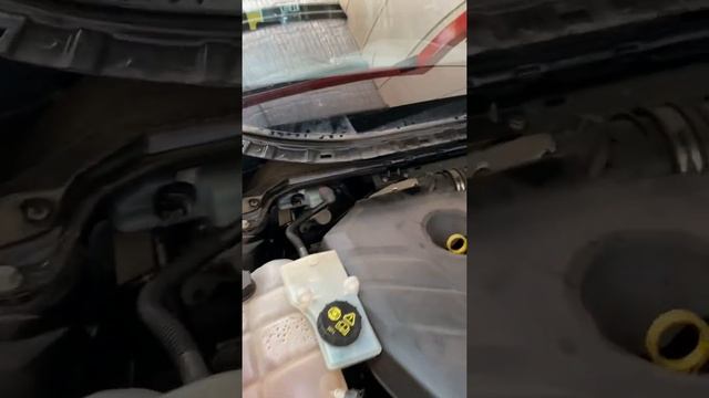 Ford Kuga 2016 low brake fluid warning смотреть онлайн