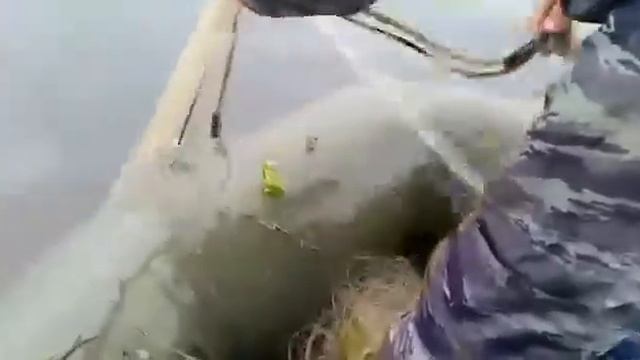 рыбалка сетями караси смотреть онлайн