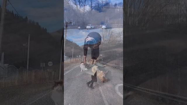 Услуги в "Абаго" #абаго #адыгея #отельсбассейном #горы