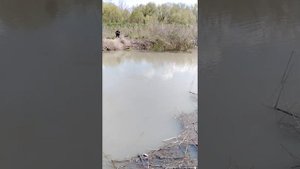 рыбалка на речке Курка