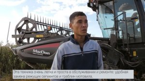 Самоходная косилка MacDon на уборке риса
