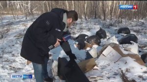 Нашли свалку с испорченной рыбой - в Омске провели оперативный рейд