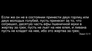 32. Божья повесть_ жертва всесожжения, хлебная, мирная (Лев. 1-3) – Проповедь В..mp4