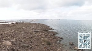 Анонс программы Вести – «Дежурная часть»: главное за неделю