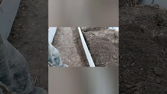 Ленивые грядки. Дорожки из речной гальки. Грядки из шифера
