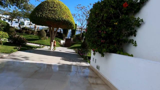 Египет 2021. НЕРЕАЛЬНО ЗЕЛЕНЫЙ отель в БЕЗВЕТРЕННОЙ БУХТЕ Jaz Solymar Naama Bay. Шарм Эль Шейх