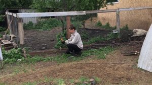 Плетеная клумба из веток своими руками/ Wicker flower bed made of branches with your own hands