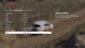 Dirt Rally 2.0 -Triple screen - graphics settings