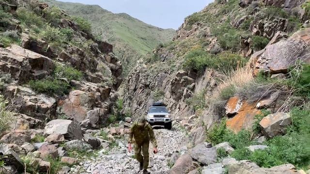 Волчьи ворота! смотреть онлайн