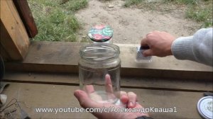 Как бороться с кротами?