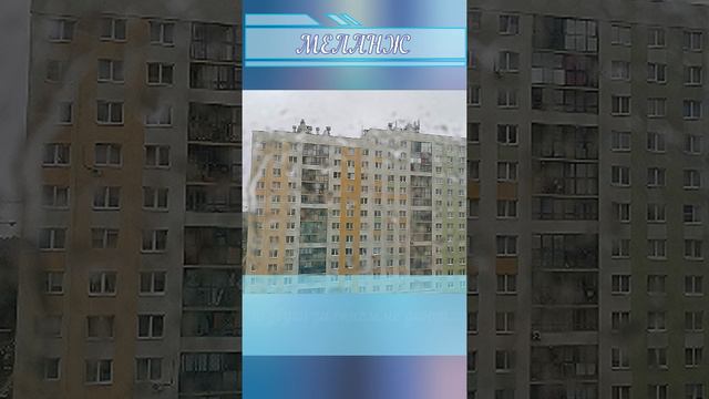 Весь день льет дождь