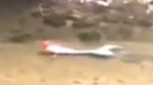 10 НАСТОЯЩИХ РУСАЛОК СНЯТЫХ НА КАМЕРУ / Часть 2