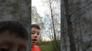Как сделать шалаш из веток