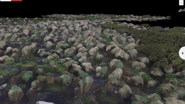 3D map of terrain from drone footage at Davis Point, Campbell Islands смотреть онлайн