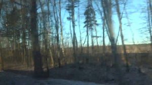 Пригородный автобус 121, участок Автосалон - Горки-10