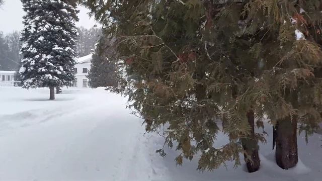 МОСКВА. УСАДЬБА БЫКОВО. МЕЩЕРСКИЙ ЛЕС. ЯПОНСКАЯ ДЕРЕВНЯ В КУРКИНО. #москва #мещерскийлес #moskow смотреть онлайн