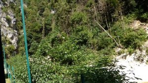 Экскурсия, Гуамское ущелье, Краснодарский край (часть 3)