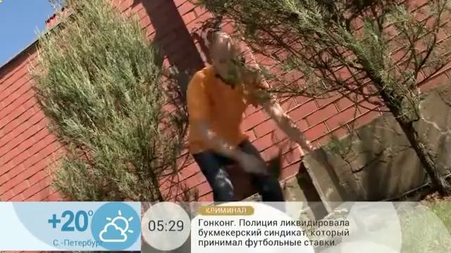 Как хранить на даче поливочный шланг