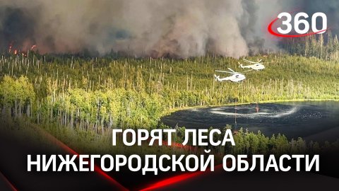 Горят леса Нижегородской области: огонь прошёл 6 тысяч гектаров и подбирается к посёлкам