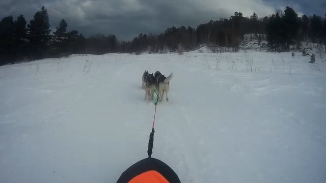 Лагонаки 2017 второй этап(упряжка 4 собаки) смотреть онлайн