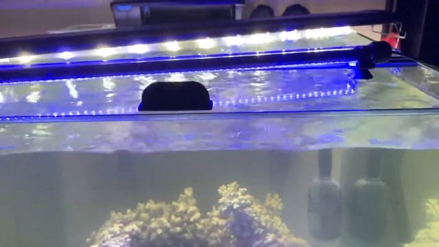 Aqueon 60 gallon cube aquarium смотреть онлайн