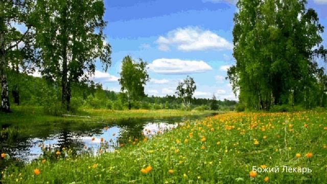 ПРИСОЕДИНЯЙТЕСЬ  ДЕНЬ МОЛИТВЫ БЛАГОДАРЕНИЯ, СЛАВА БОГУ ЗА ВСЕ