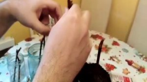 Проращивание винограда зимой. Посадка пророщенных черенков в грунт. Часть 2