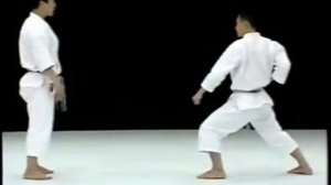 The Art of Shotokan