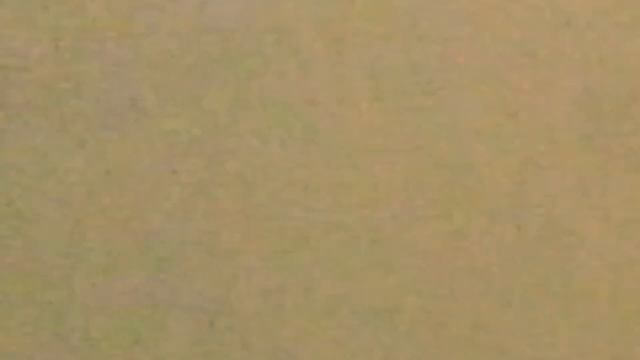 More Crazy Classic Cartoon Style Sound Effects смотреть онлайн