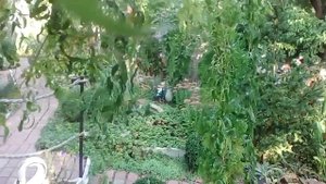 ИВА МАТСУДАНА