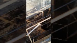 проверка вязки арматуры продольно поперечного армокаркаса.